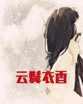 云鬓衣香讲的什么