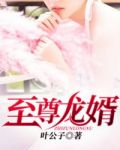 至尊龙婿陆凡txt全集下载