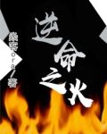 逆命图文攻略