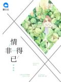 情非得已韩语版