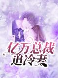亿万总裁开启慢慢追妻路
