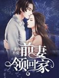小说非你不爱免费阅读