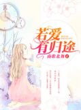 若爱有归途小说