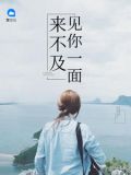 来不及见你一面免费