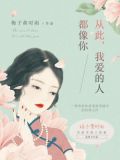 从此,我爱的人都像你小说