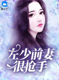 左少前妻很抢手讲的什么