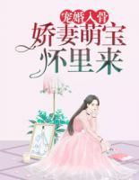 宠婚入骨娇妻萌宝怀里来(席承骁南B琦)全文免费阅读