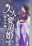 报告少帅,夫人要退婚 小说