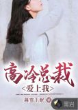 高冷总裁爱上我锦瑟
