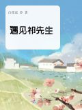 遇见祁先生顾粥粥