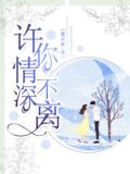 许你情深不离71章免费阅读