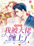 替嫁后我被大佬宠上天佚名