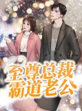 至尊总裁霸道老公小说免费全文完整版
