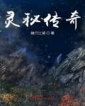 灵秘传奇顶点