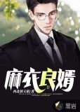 麻衣良婿txt