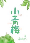 小青梅小说全文免费