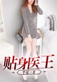 贴身医王夜独醉TXT下载百度网盘