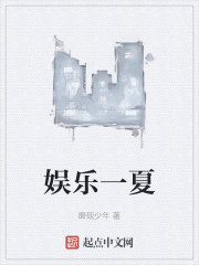 娱乐一夏小说