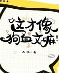 这才像狗血文嘛19章