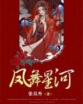 凤舞星河辛昭小说