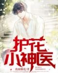 护花小神医短剧在线观看全集