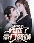 未婚先孕,我成了豪门赘婿小说下载