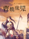 三国之曹魏第一少主为什么下架