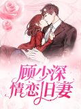 阮乔安陆子衍目录