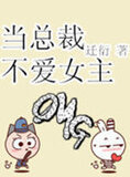 当总裁不爱女主