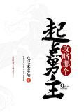 攻略那个起点男主！！