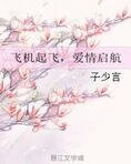 飞机起飞，爱情启航