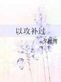 以攻补过