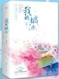 我的城池(1)