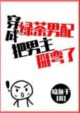 穿成绿茶男配把男主掰弯了