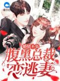 婚情不负：腹黑总裁恋逃妻苏可歆顾迟