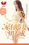 家有美媳