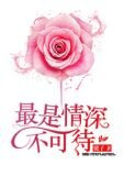 兵王沈浪苏若雪