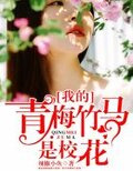 我的青梅竹马是校花