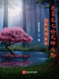 斗罗大陆续史莱克七怪成神之路