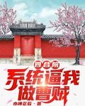 四合院：系统逼我做曹贼