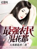 最强农民混花都