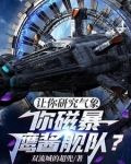 让你研究气象，你磁暴鹰酱舰队？