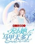 爷，认输吧！夫人她马甲太多了