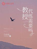 教授，代练需要吗？